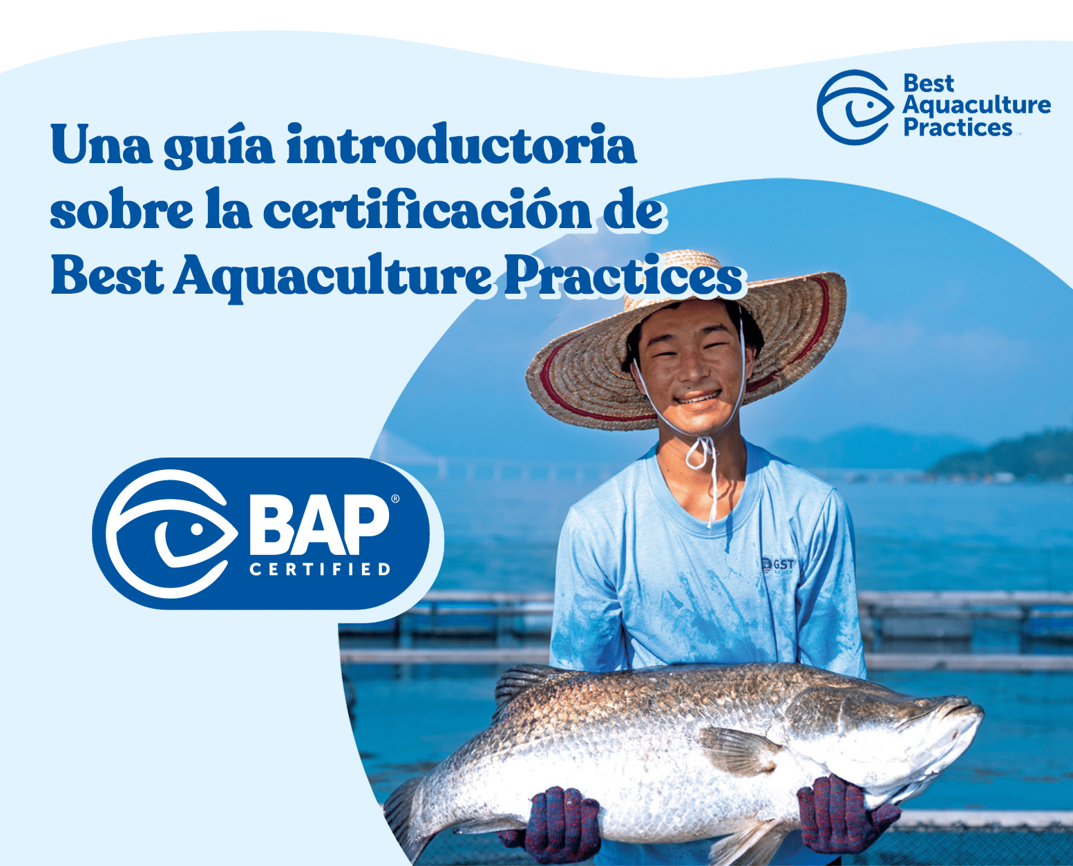 BAP Guide for Producer spanish